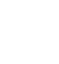 D20